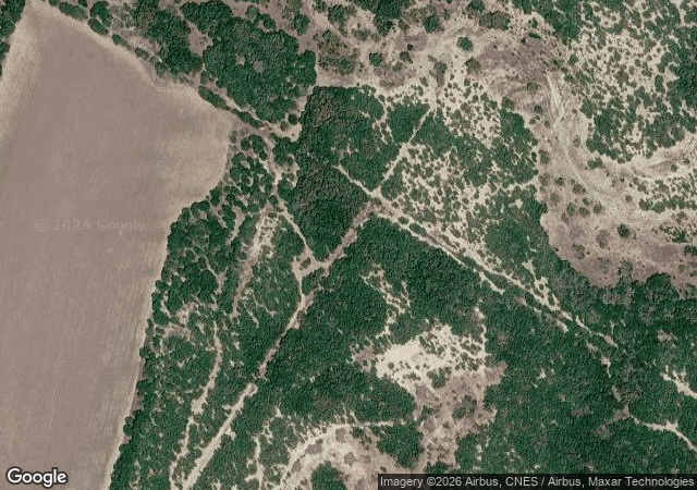 Aerial view of Pipe Creek Christmas Tree Farm in Pipe Creek, TX