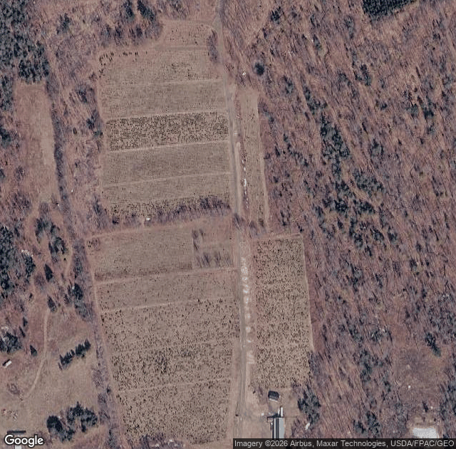 Aerial view of Piper Mountain Christmas Tree Farm in Newburgh, ME