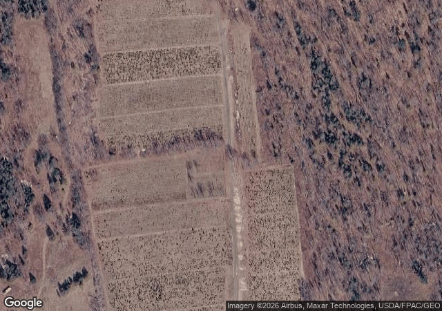 Aerial view of Piper Mountain Christmas Tree Farm in Newburgh, ME
