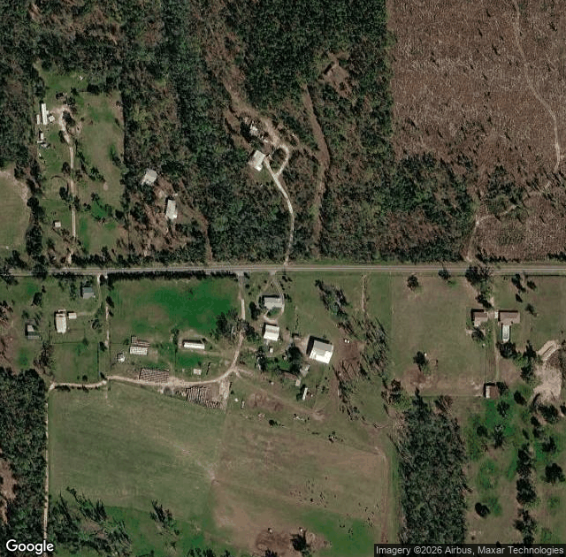Aerial view of Powell Tree Farm & Vineyard in Sneads, FL