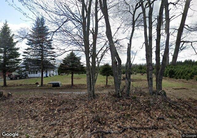 Quinn's Tree Farm in Cornville, ME