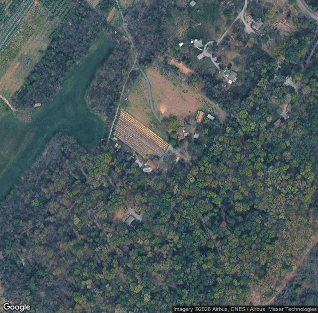 Aerial view of Ratliff's Christmas Tree and Blueberry Farm in Timberville, VA