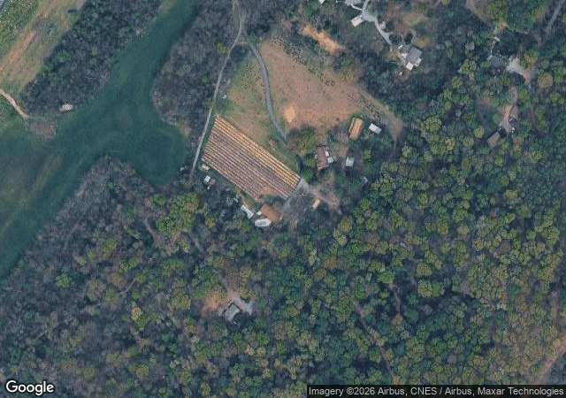 Aerial view of Ratliff's Christmas Tree and Blueberry Farm in Timberville, VA