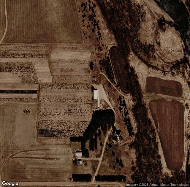Aerial view of Riverview Christmas Tree Farm and Pumpkin Festival in Canton, SD