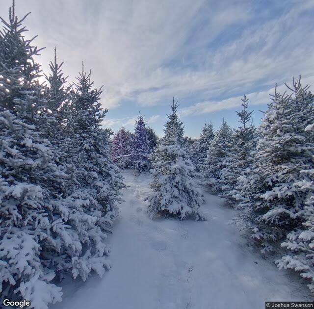 Rum River Tree Farm in Oak Grove, MN