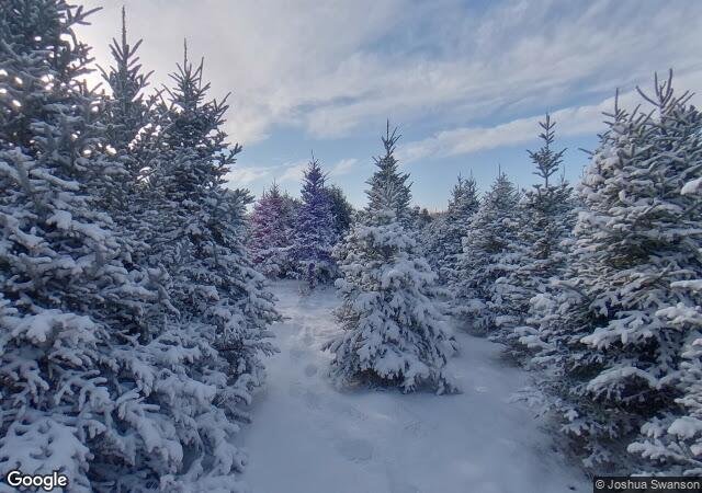 Rum River Tree Farm in Oak Grove, MN