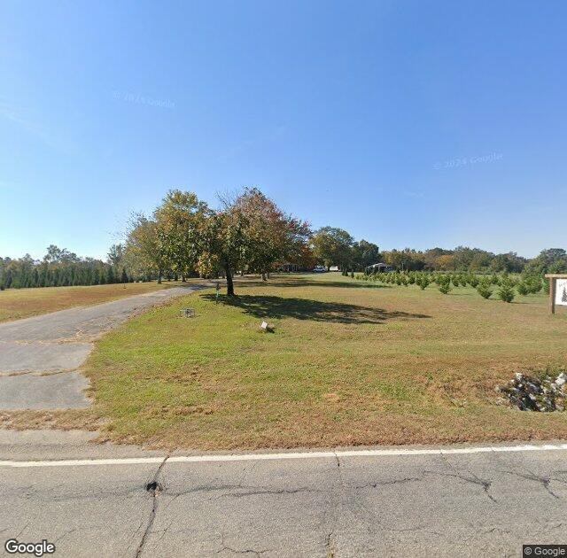 Shine & Lee's Christmas Trees in Newberry, SC