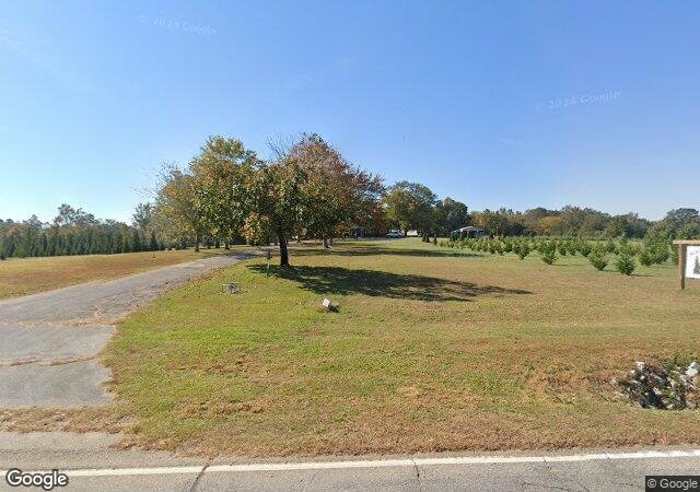 Shine & Lee's Christmas Trees in Newberry, SC