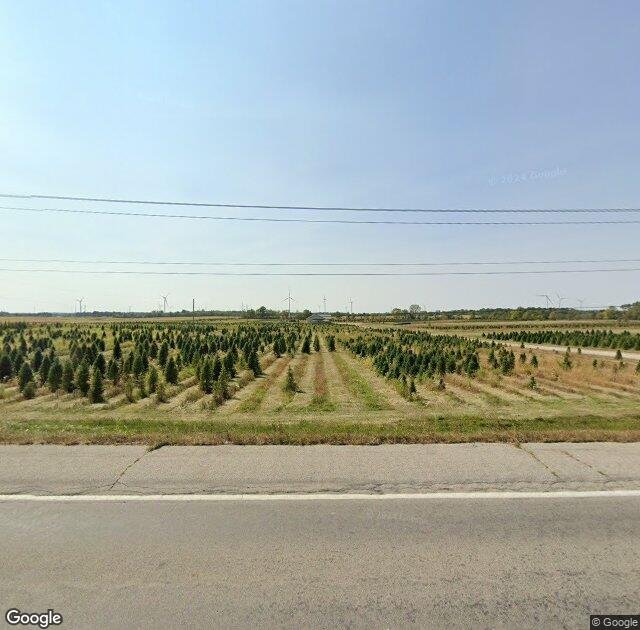 Sickels Tree Farm in Lynn, IN