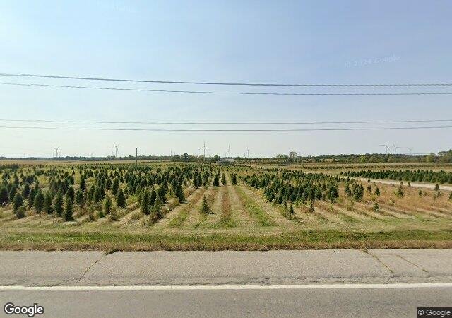 Sickels Tree Farm in Lynn, IN
