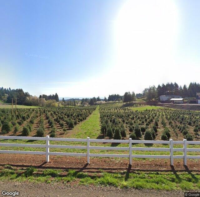 Skyline Christmas Tree Farm in Salem, OR