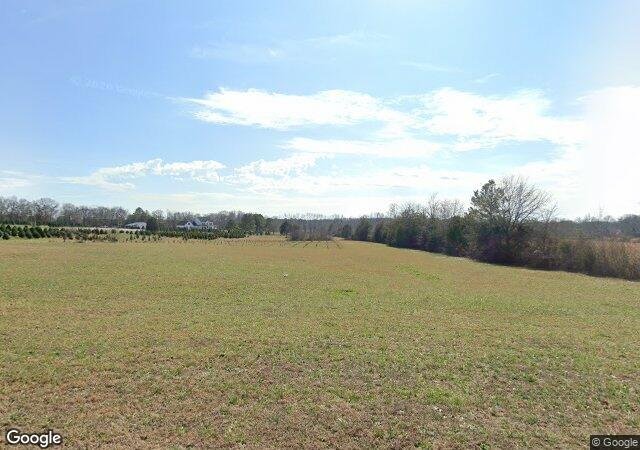 Sokoll Christmas Tree Farm in Florence, AL
