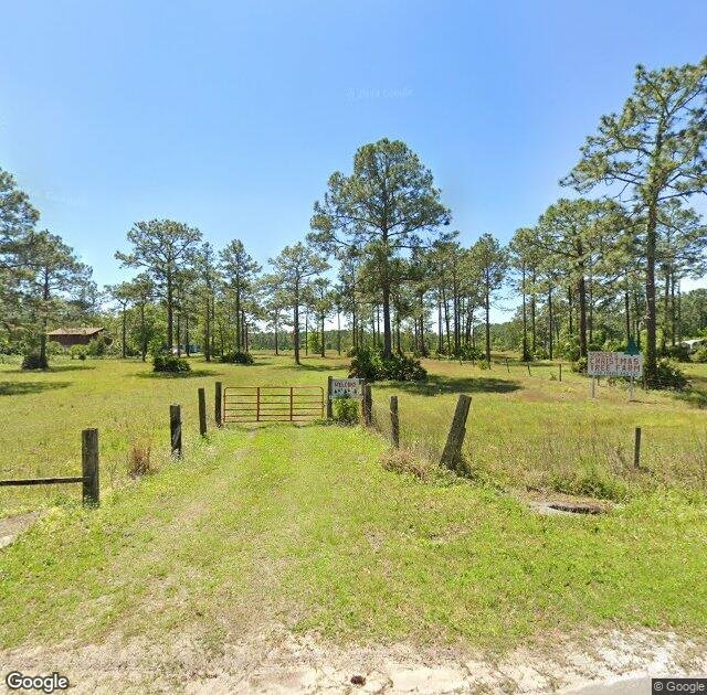 Songer's Christmas Tree Farm in Middleburg, FL