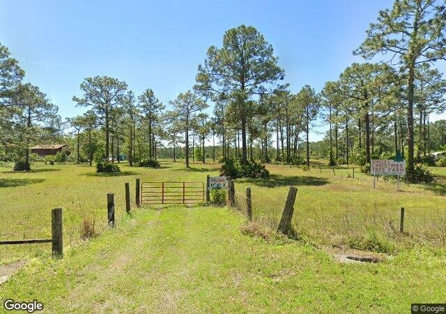 Songer's Christmas Tree Farm in Middleburg, FL