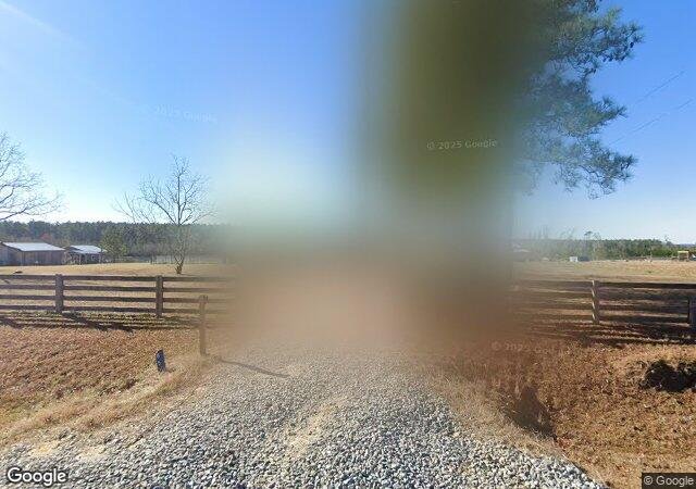 Southern Cypress Christmas Tree Farm in East Dublin, GA