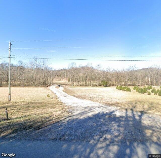 Southern Grace Tree Farm in Culleoka, TN