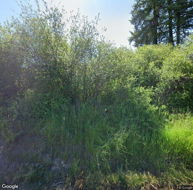 Spring Valley Family Tree Farm in Troy, ID