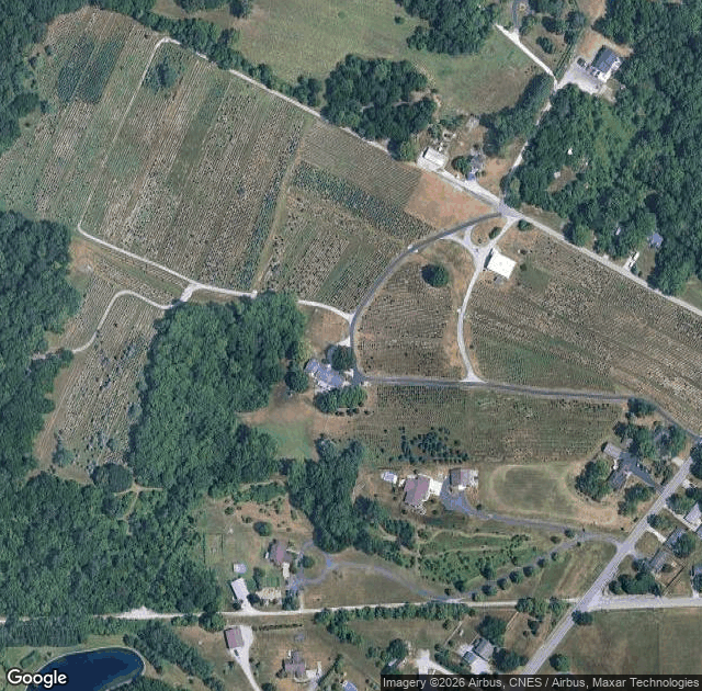 Aerial view of St. Joe Christmas Tree Farm in Fort Wayne, IN