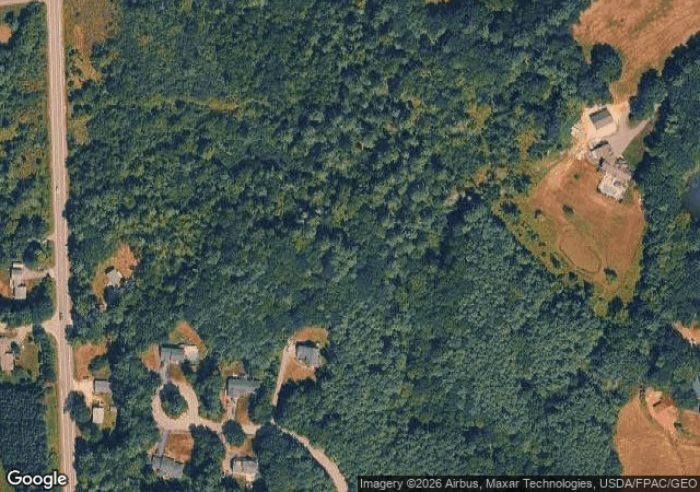 Aerial view of Staples Christmas Tree Farm in Windham, ME