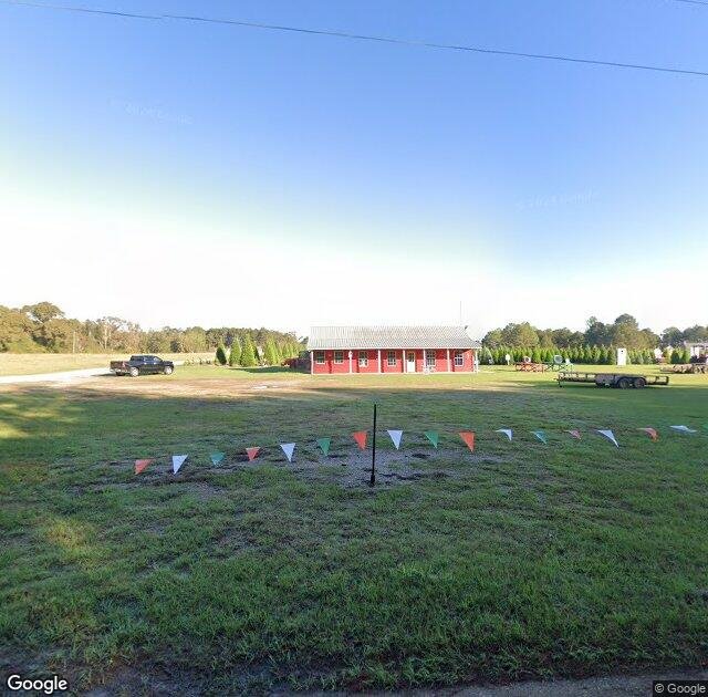 Steele's Christmas Tree Farm in Angie, LA