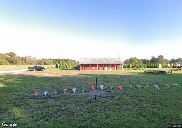 Steele's Christmas Tree Farm in Angie, LA