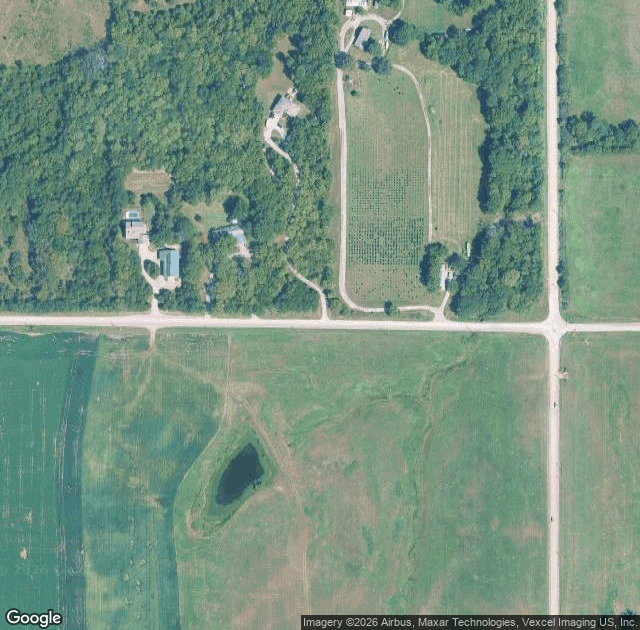Aerial view of Strawberry Hill Christmas Tree Farm in Lawrence, KS