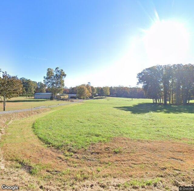 Sycamore Springs Christmas Tree Farm in Jamestown, TN