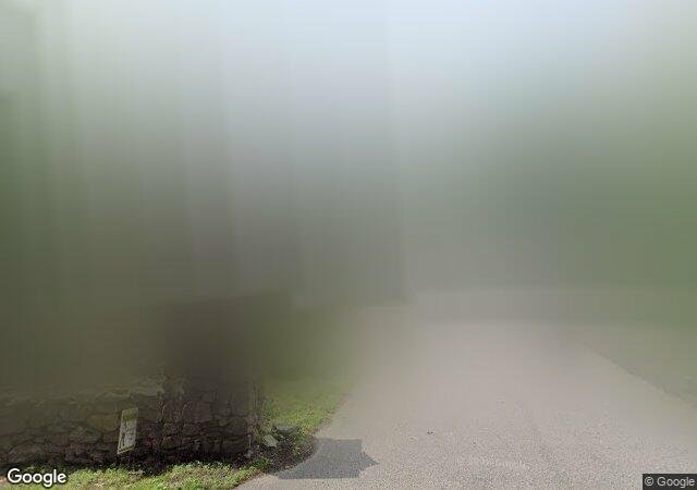 Texas Tree Farm in Charlton, MA