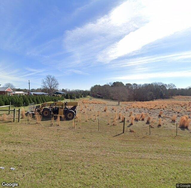 Thomley's Christmas Tree Farm in Hattiesburg, MS
