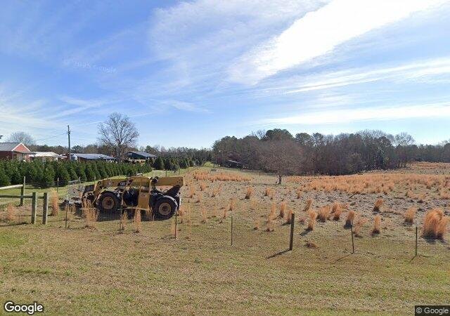 Thomley's Christmas Tree Farm in Hattiesburg, MS