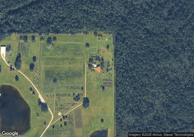 Aerial view of Tiger Branch Christmas Tree Farm in Covington, LA