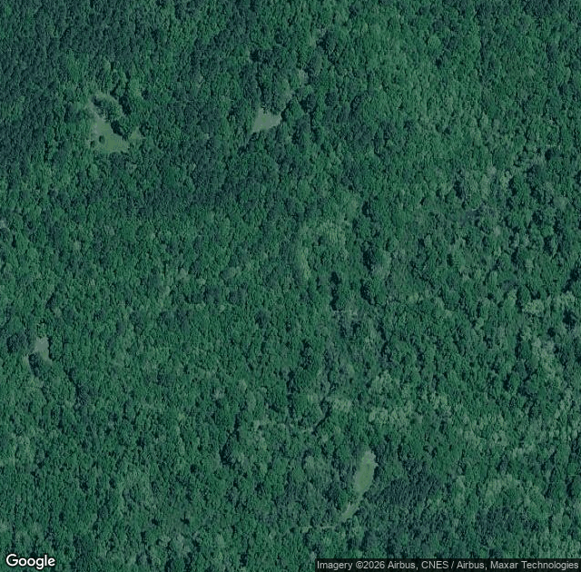 Aerial view of Timberhill Christmas Tree Farm in Chatawa, MS