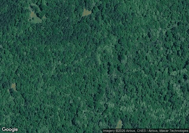 Aerial view of Timberhill Christmas Tree Farm in Chatawa, MS