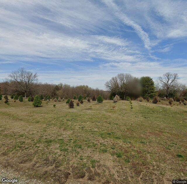 Wilkinson's Christmas Forest in Tahlequah, OK