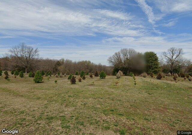Wilkinson's Christmas Forest in Tahlequah, OK