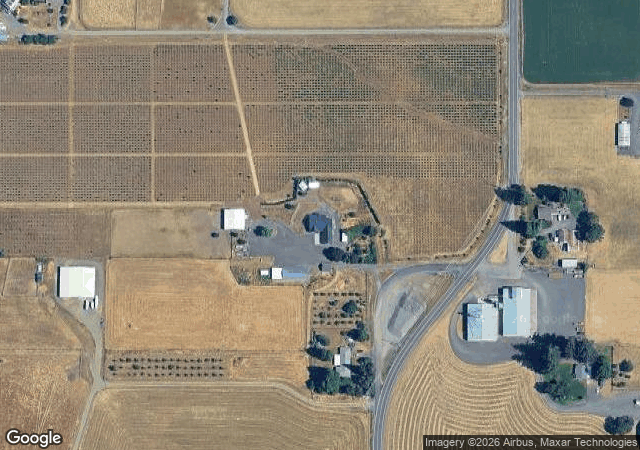 Aerial view of Willoughby Christmas Tree Farm in Junction City, OR