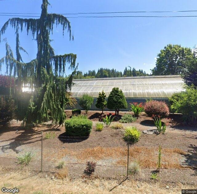Wintergreen Tree Farm in Snohomish, WA