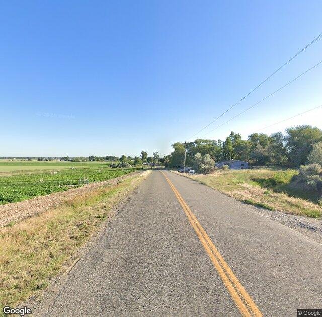Wolverine Trees in Idaho Falls, ID