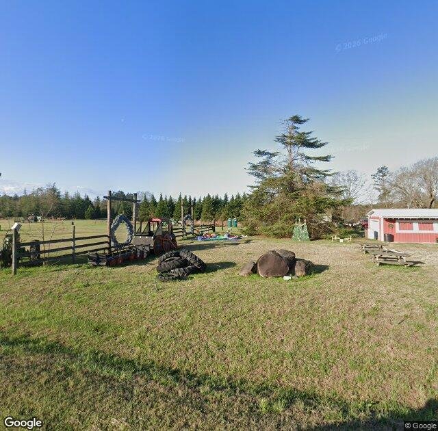 Wright's Christmas Tree Farm in Ward, SC