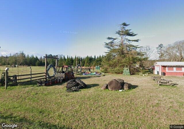 Wright's Christmas Tree Farm in Ward, SC